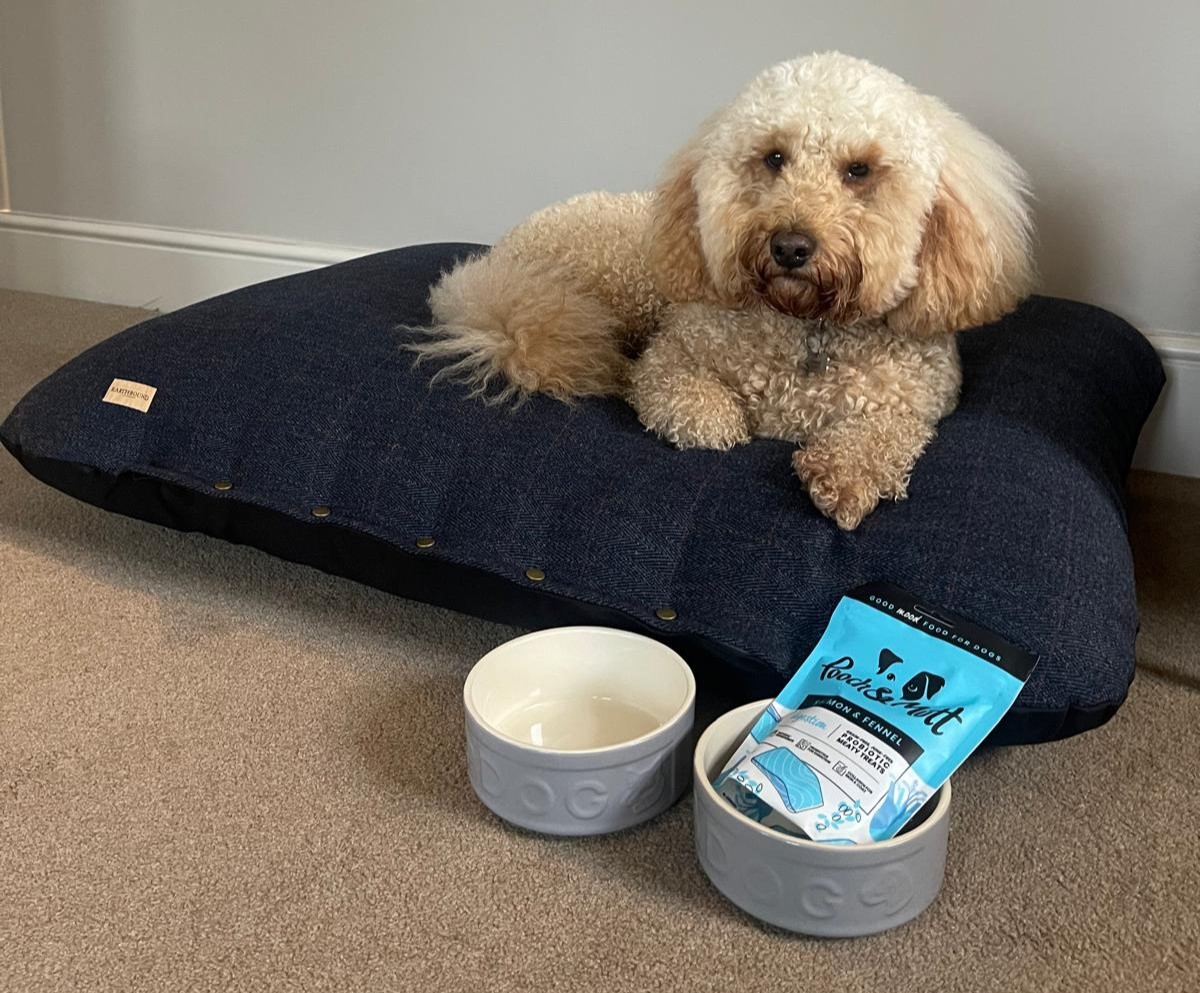 dog friendly hotel - The Crescent Inn, Ilkley